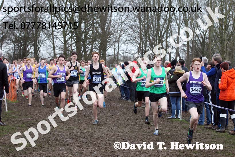 Mens under-17s Inter Counties Cross Country, Prestwold Hall, Loughborough. Photo: David T. Hewitson/Sports for All Pics